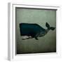 Barnacle Whale-Ryan Fowler-Framed Art Print