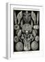 Barnacles-Ernst Haeckel-Framed Art Print