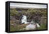 Barnafoss, Springs and Children's Falls, Iceland, Polar Regions-Michael-Framed Stretched Canvas