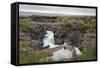 Barnafoss, Springs and Children's Falls, Iceland, Polar Regions-Michael-Framed Stretched Canvas