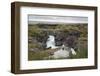 Barnafoss, Springs and Children's Falls, Iceland, Polar Regions-Michael-Framed Photographic Print