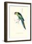 Barnard's Parakeet - Barnardius Zonarius Barnardi-Edward Lear-Framed Art Print