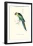 Barnard's Parakeet - Barnardius Zonarius Barnardi-Edward Lear-Framed Art Print