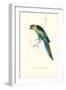 Barnard's Parakeet - Barnardius Zonarius Barnardi-Edward Lear-Framed Art Print