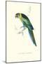 Barnard's Parakeet - Barnardius Zonarius Barnardi-Edward Lear-Mounted Art Print