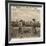 Barnardo's Emigrants in Canada-Peter Higginbotham-Framed Photographic Print