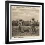 Barnardo's Emigrants in Canada-Peter Higginbotham-Framed Photographic Print