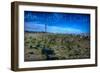 Barnegat Light, New Jersey - Barnegat Lighthouse Rocky View-Lantern Press-Framed Art Print