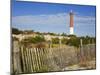 Barnegat Lighthouse in Ocean County, New Jersey, United States of America, North America-Richard Cummins-Mounted Photographic Print