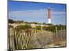 Barnegat Lighthouse in Ocean County, New Jersey, United States of America, North America-Richard Cummins-Mounted Photographic Print