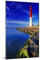 Barnegat Lighthouse, New Jersey-George Oze-Mounted Photographic Print