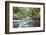 Barnes Creek Through Forest, Olympic National Park, Washington, USA-Jaynes Gallery-Framed Photographic Print