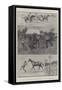 Barnet Horse and Cattle Fair-Ralph Cleaver-Framed Stretched Canvas