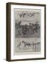 Barnet Horse and Cattle Fair-Ralph Cleaver-Framed Giclee Print