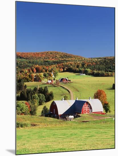 Barnet, View of Farm in Autumn, Northeast Kingdom, Vermont, USA-Walter Bibikow-Mounted Photographic Print