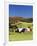 Barnet, View of Farm in Autumn, Northeast Kingdom, Vermont, USA-Walter Bibikow-Framed Photographic Print