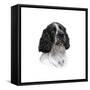 Barney-Aron Gadd-Framed Stretched Canvas