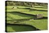 Barns and Dry Stone Walls at Gunnerside-John Woodworth-Stretched Canvas