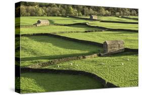 Barns and Dry Stone Walls at Gunnerside-John Woodworth-Stretched Canvas