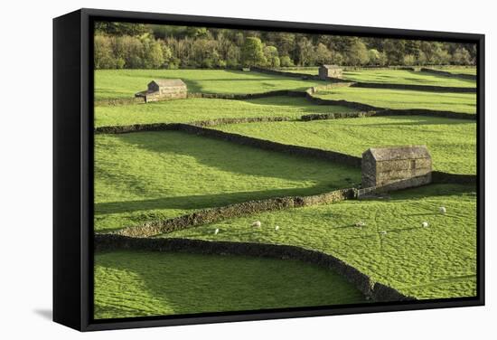 Barns and Dry Stone Walls at Gunnerside-John Woodworth-Framed Stretched Canvas