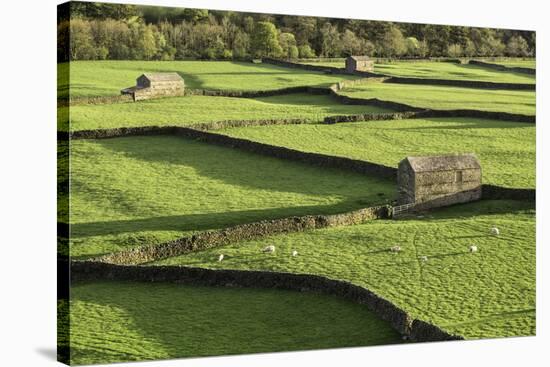 Barns and Dry Stone Walls at Gunnerside-John Woodworth-Stretched Canvas