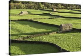 Barns and Dry Stone Walls at Gunnerside-John Woodworth-Stretched Canvas