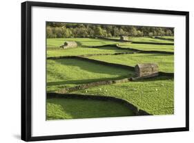 Barns and Dry Stone Walls at Gunnerside-John Woodworth-Framed Photographic Print