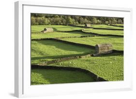 Barns and Dry Stone Walls at Gunnerside-John Woodworth-Framed Photographic Print