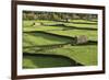 Barns and Dry Stone Walls at Gunnerside-John Woodworth-Framed Photographic Print