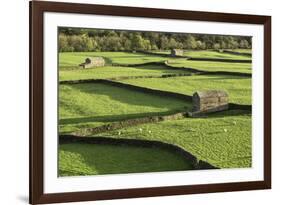 Barns and Dry Stone Walls at Gunnerside-John Woodworth-Framed Photographic Print