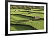 Barns and Dry Stone Walls at Gunnerside-John Woodworth-Framed Photographic Print