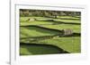 Barns and Dry Stone Walls at Gunnerside-John Woodworth-Framed Photographic Print