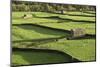 Barns and Dry Stone Walls at Gunnerside-John Woodworth-Mounted Photographic Print