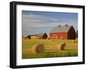 Barns and Hay Bales in Field-Darrell Gulin-Framed Premium Photographic Print