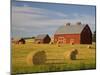 Barns and Hay Bales in Field-Darrell Gulin-Mounted Premium Photographic Print