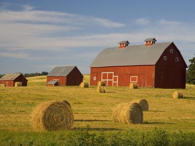Barns And Hay Bales In Field Photographic Print Darrell Gulin Allposters Com