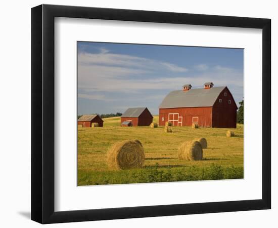 Barns and Hay Bales in Field-Darrell Gulin-Framed Photographic Print