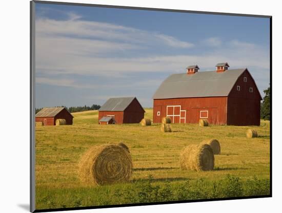 Barns and Hay Bales in Field-Darrell Gulin-Mounted Photographic Print
