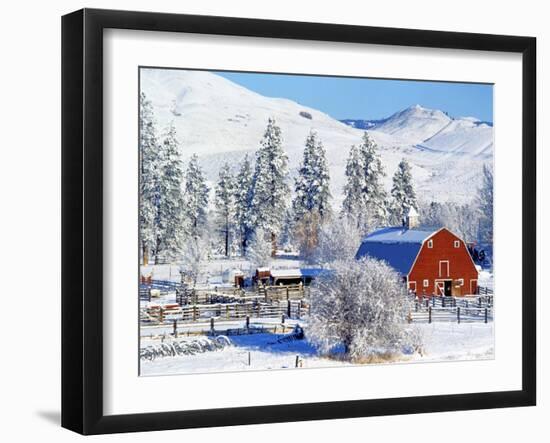 Barns in winter, Methow Valley, Washington, USA-Charles Gurche-Framed Premium Photographic Print