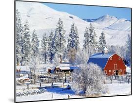 Barns in winter, Methow Valley, Washington, USA-Charles Gurche-Mounted Premium Photographic Print