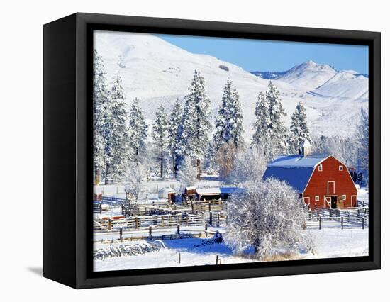 Barns in winter, Methow Valley, Washington, USA-Charles Gurche-Framed Stretched Canvas