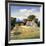 Barns on Greenbrier VI-Max Hayslette-Framed Giclee Print