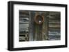 Barnside I-James McLoughlin-Framed Photographic Print