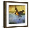 Barnswallow-Chris Vest-Framed Art Print