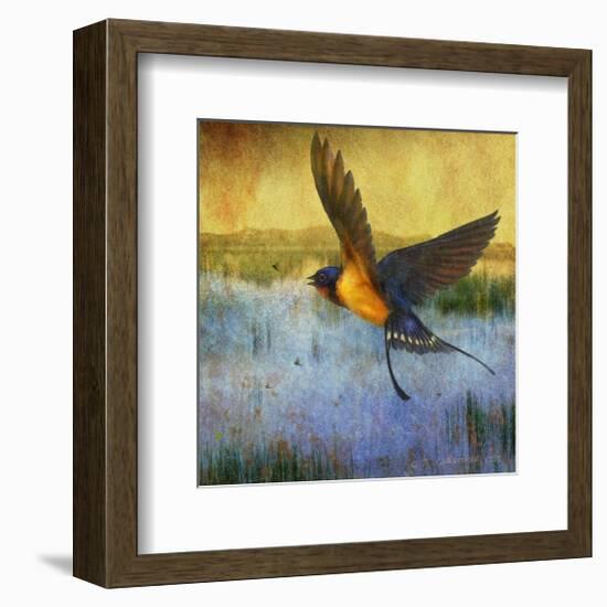 Barnswallow-Chris Vest-Framed Art Print