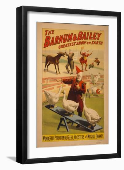 Barnum and Bailey Circus poster, c.1900-null-Framed Giclee Print