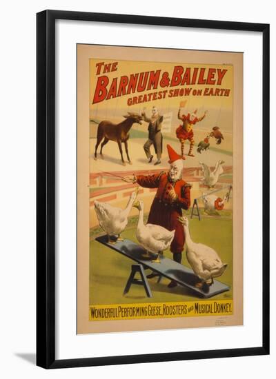 Barnum and Bailey Circus poster, c.1900-null-Framed Giclee Print