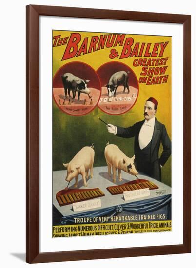 Barnum and Bailey, Poster, 1900-null-Framed Giclee Print