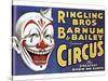 Barnum and Bailey's Circus, USA-null-Stretched Canvas