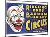 Barnum and Bailey's Circus, USA-null-Mounted Giclee Print